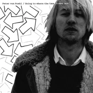 Going to where the trees are